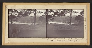 Vue depuis les terrains de M. Freundt, Mendocino - Carleton E. Watkins